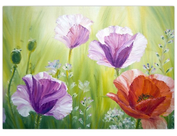 Slika - Makovi (70x50 cm)