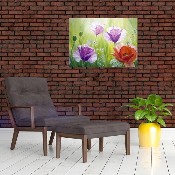 Slika - Makovi (70x50 cm)