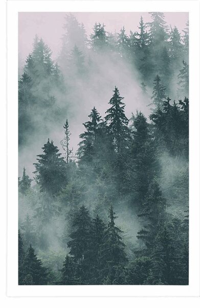 Plakat planine u magli