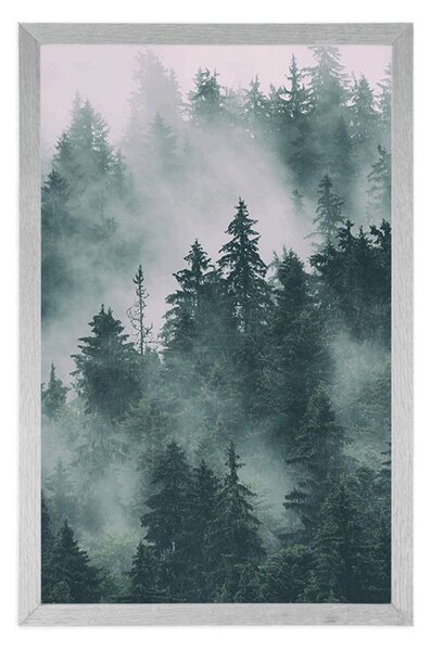 Plakat planine u magli