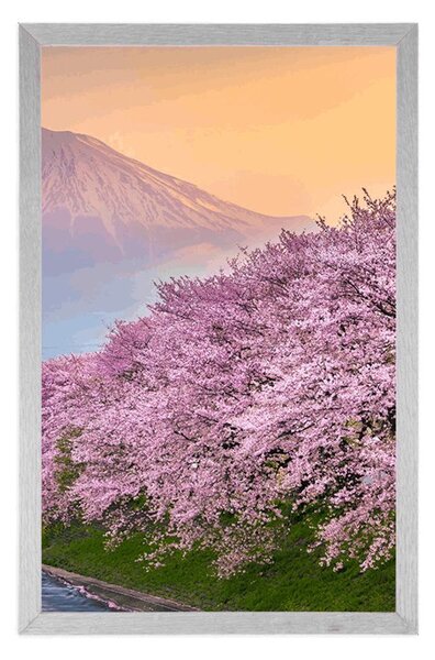 Plakat prekrasni Japan