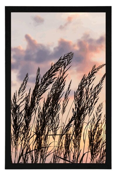 Plakat trava pri zalasku sunca