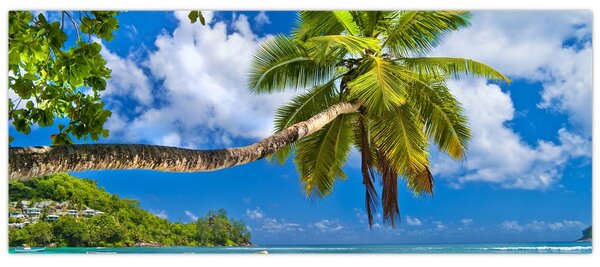 Slika - Sejšeli (120x50 cm)
