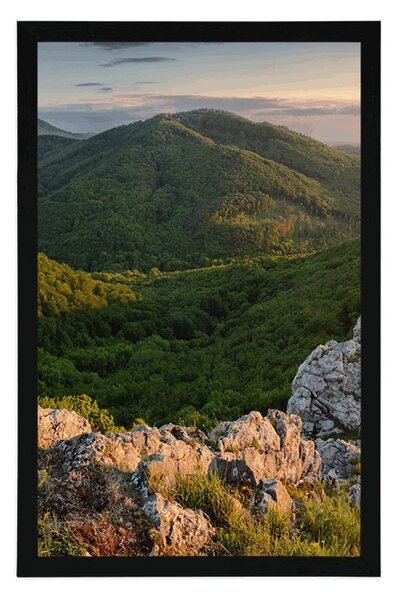 Plakat priroda obasjana suncem