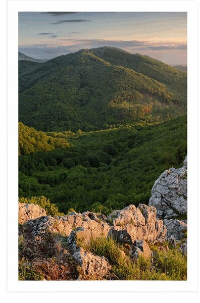 Plakat priroda obasjana suncem