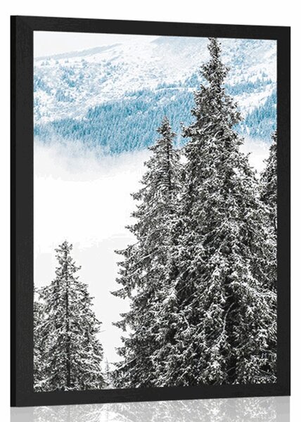 Plakat snježni borovi
