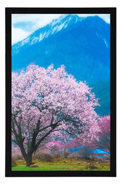 Plakat čarobno japansko stablo