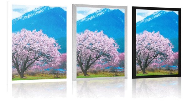 Plakat čarobno japansko stablo
