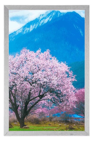 Plakat čarobno japansko stablo