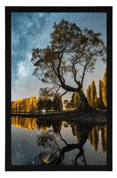 Plakat stablo ispod zvjezdanog neba