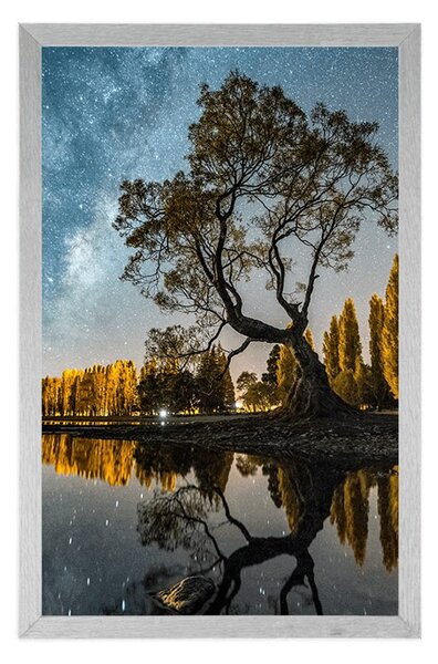 Plakat stablo ispod zvjezdanog neba
