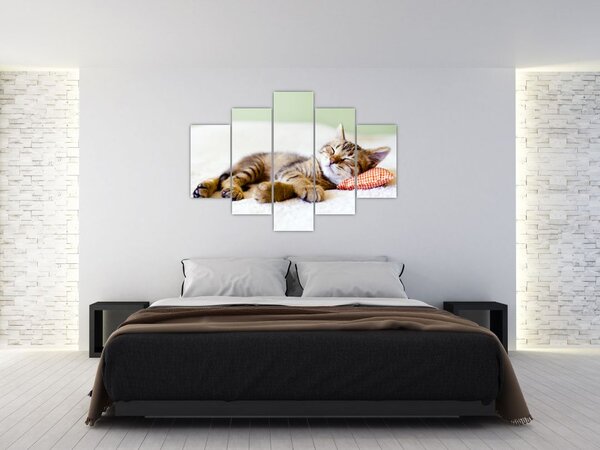 Slika - Speči maček (150x105 cm)