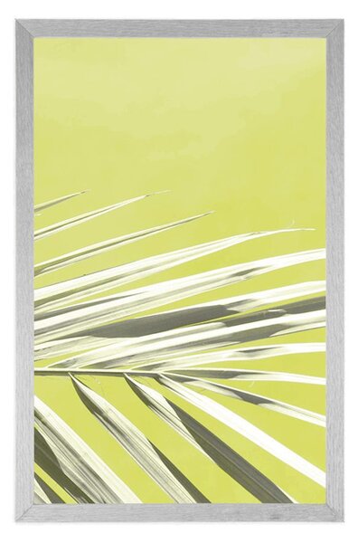 Plakat palmin list