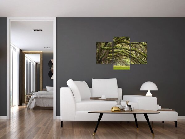 Slika - Oaks Avenue, Charleston, Južna Karolina, ZDA (90x60 cm)