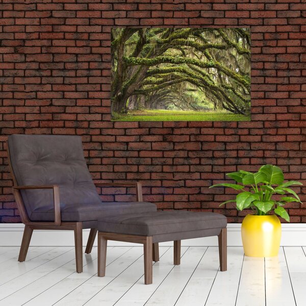Slika - Oaks Avenue, Charleston, Južna Karolina, ZDA (90x60 cm)