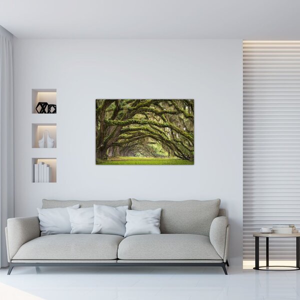 Slika - Oaks Avenue, Charleston, Južna Karolina, ZDA (90x60 cm)