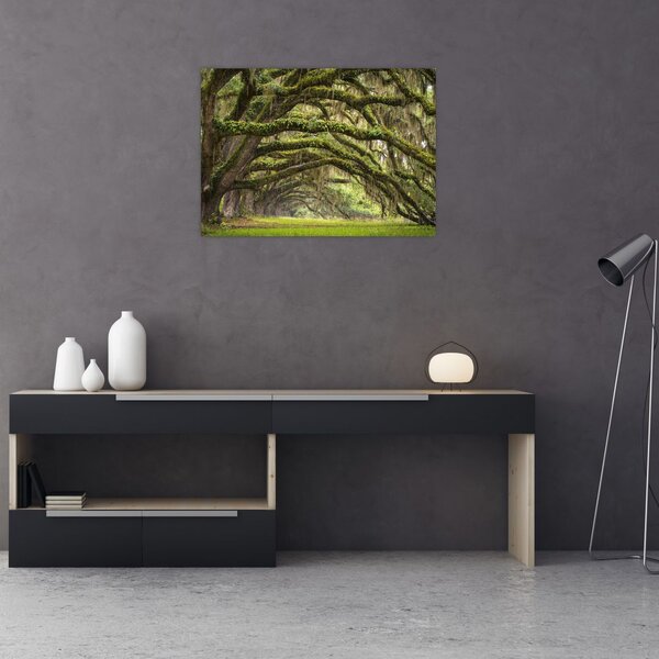 Slika - Oaks Avenue, Charleston, Južna Karolina, ZDA (70x50 cm)