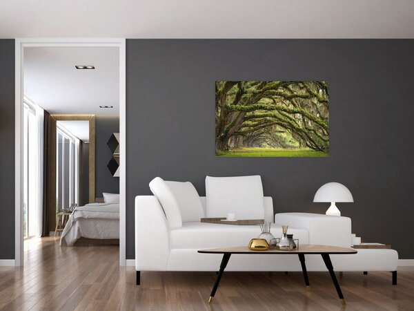 Slika - Oaks Avenue, Charleston, Južna Karolina, ZDA (90x60 cm)