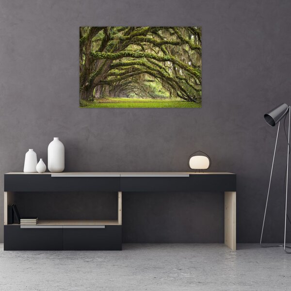 Slika - Oaks Avenue, Charleston, Južna Karolina, ZDA (90x60 cm)