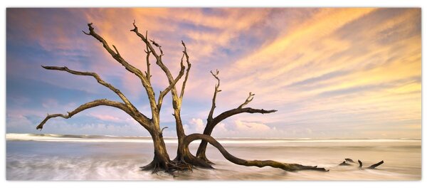 Slika drevesa v oceanu (120x50 cm)
