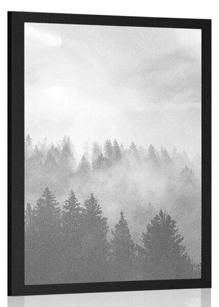 Plakat magla iznad šume u crno-bijelom dizajnu