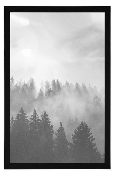 Plakat magla iznad šume u crno-bijelom dizajnu