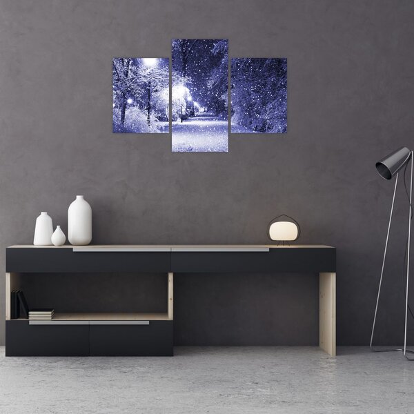 Slika - Čarobna zimska noč (90x60 cm)