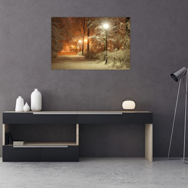 Slika - Snežni park (90x60 cm)