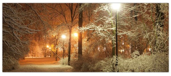 Slika - Snežni park (120x50 cm)