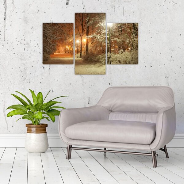 Slika - Snežni park (90x60 cm)