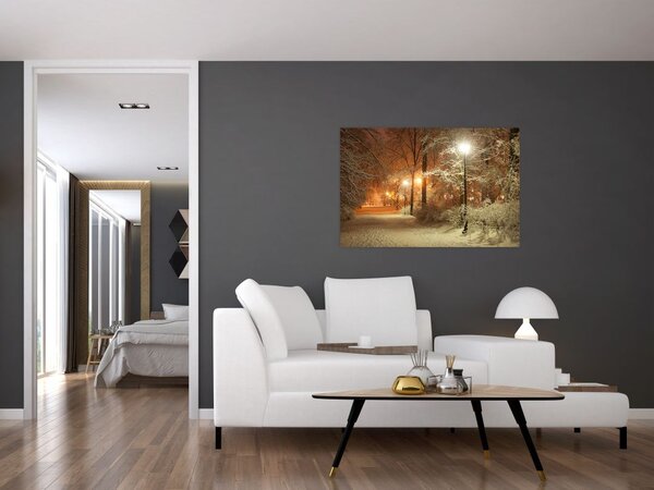 Slika - Snežni park (90x60 cm)