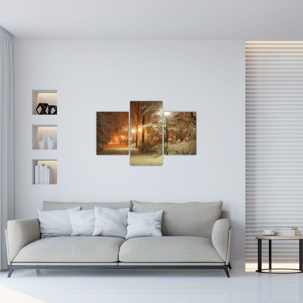 Slika - Snežni park (90x60 cm)