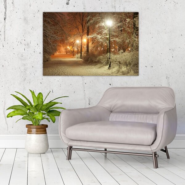 Slika - Snežni park (90x60 cm)