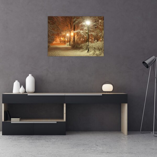Slika - Snežni park (70x50 cm)