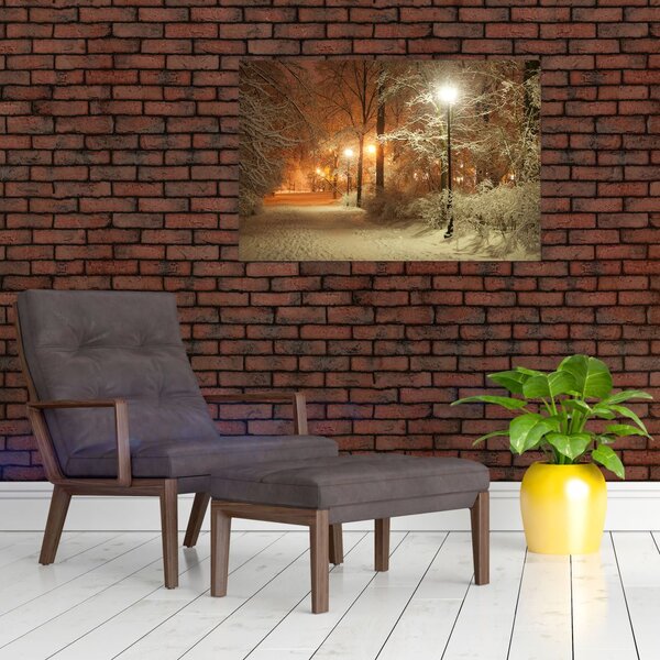 Slika - Snežni park (90x60 cm)