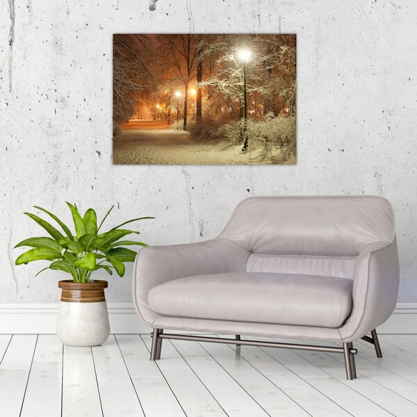 Slika - Snežni park (70x50 cm)
