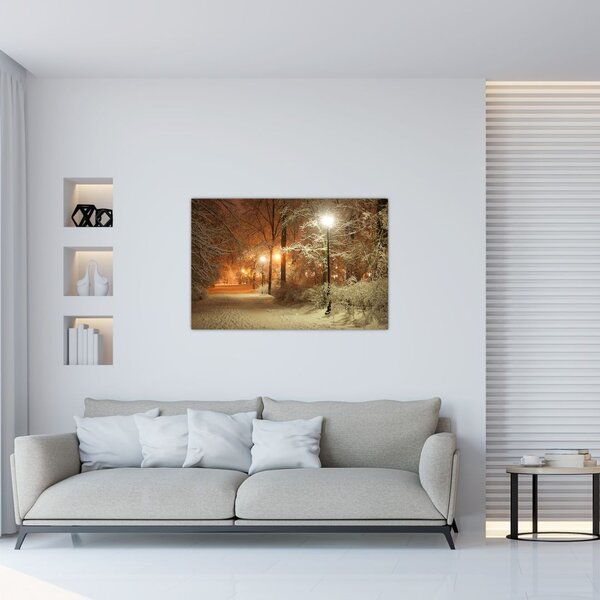 Slika - Snežni park (90x60 cm)
