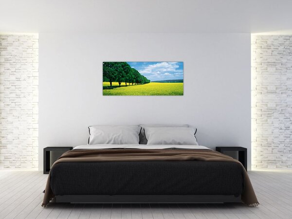 Slika polja z alejo (120x50 cm)