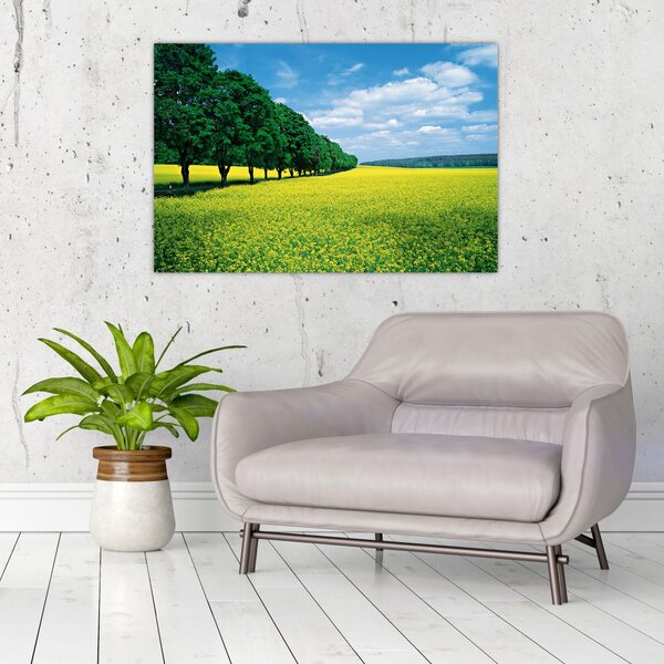 Slika polja z alejo (90x60 cm)