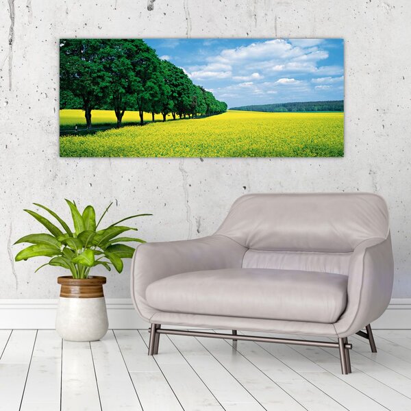 Slika polja z alejo (120x50 cm)