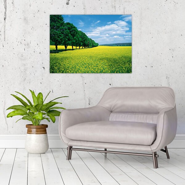 Slika polja z alejo (70x50 cm)