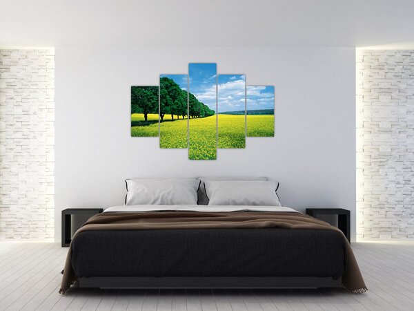 Slika polja z alejo (150x105 cm)