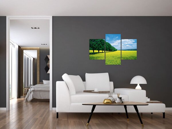 Slika polja z alejo (90x60 cm)