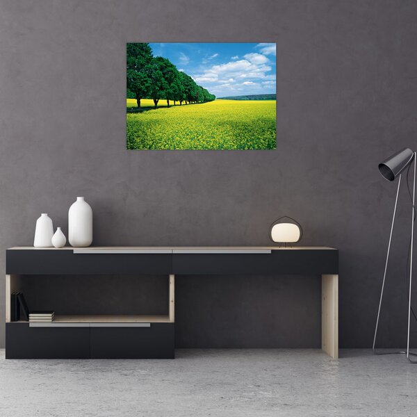 Slika polja z alejo (70x50 cm)