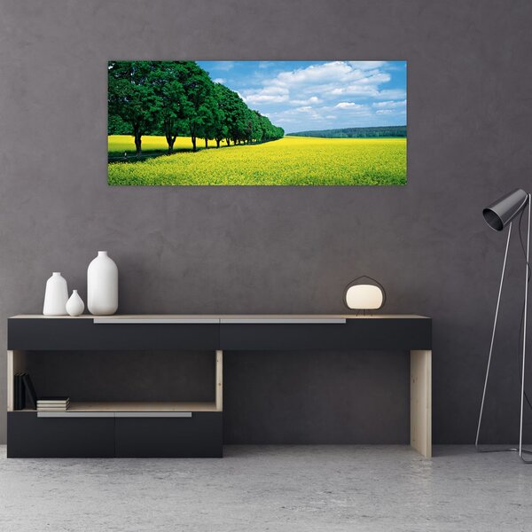 Slika polja z alejo (120x50 cm)