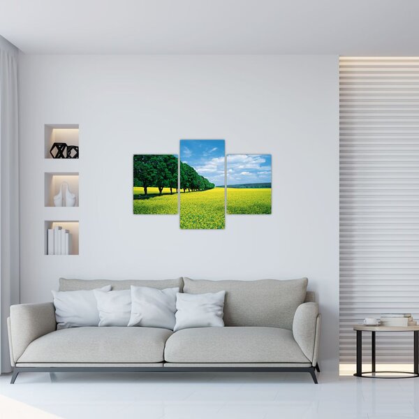 Slika polja z alejo (90x60 cm)