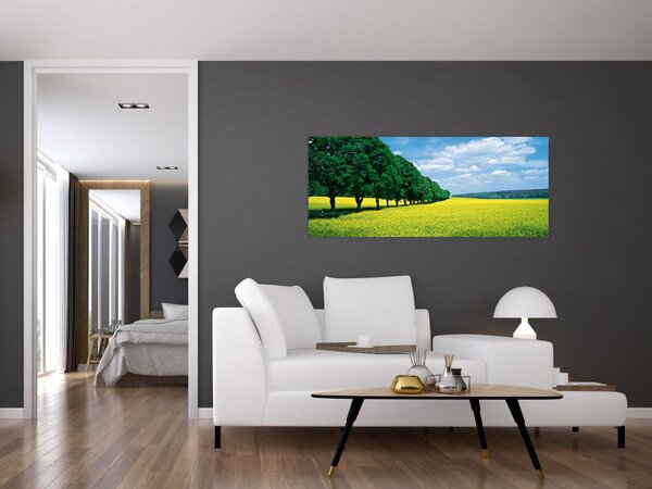 Slika polja z alejo (120x50 cm)