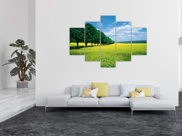 Slika polja z alejo (150x105 cm)
