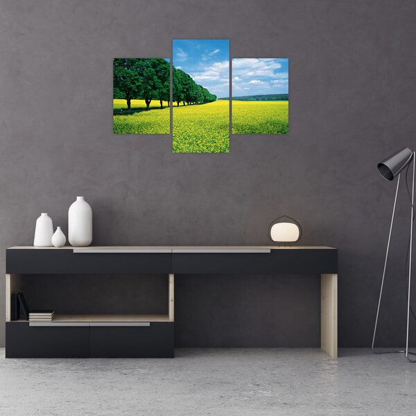 Slika polja z alejo (90x60 cm)
