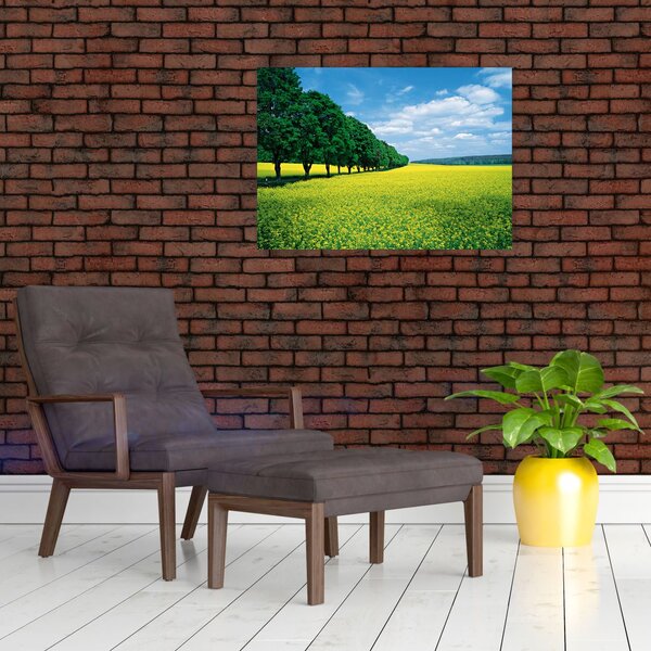 Slika polja z alejo (70x50 cm)